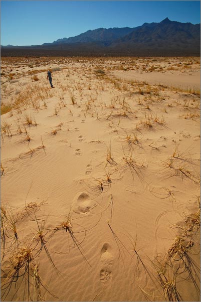 sm 5798.jpg - Lower part of the 45 square mile Kelso Dunes.